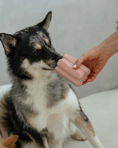 DexyPaws 🍁Blush Pink - Interactive Toy for Powerful Chewers