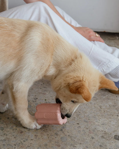 DexyPaws 🍁Blush Pink - Interactive Toy for Powerful Chewers