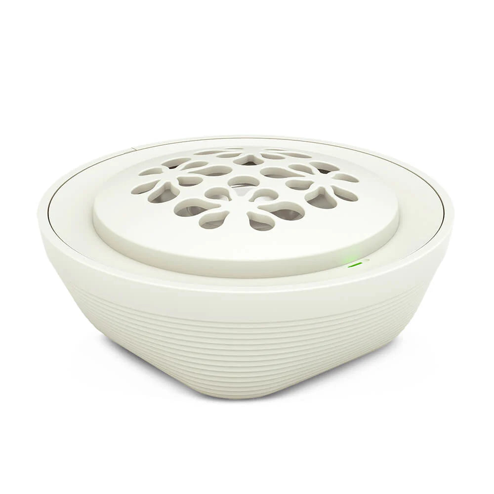 Essencia🍁 Aroma Stone Diffuser