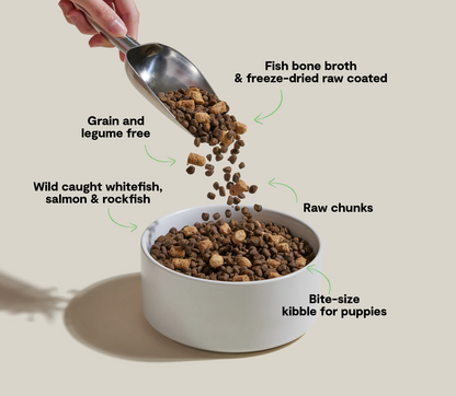 Open Farm® RawMix Puppy Grain Free Salmon, Whitefish & Rockfish