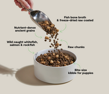 Open Farm® RawMix Puppy Ancient Grains Salmon, Whitefish & Rockfish