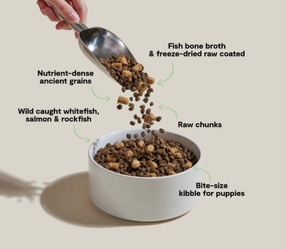 Open Farm® RawMix Puppy Ancient Grains Salmon, Whitefish & Rockfish