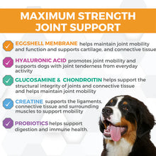 Progility Max Hip & Joint with Eggshell Membrane Chews 60pc