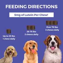 Progility Tear Stain Eye Support 80 Soft Chews