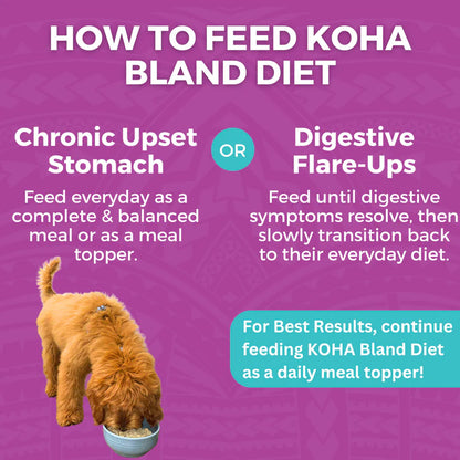 KOHA Bland Diet Beef & White Rice 12.5oz
