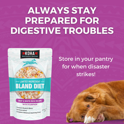 KOHA Bland Diet Beef & White Rice 12.5oz