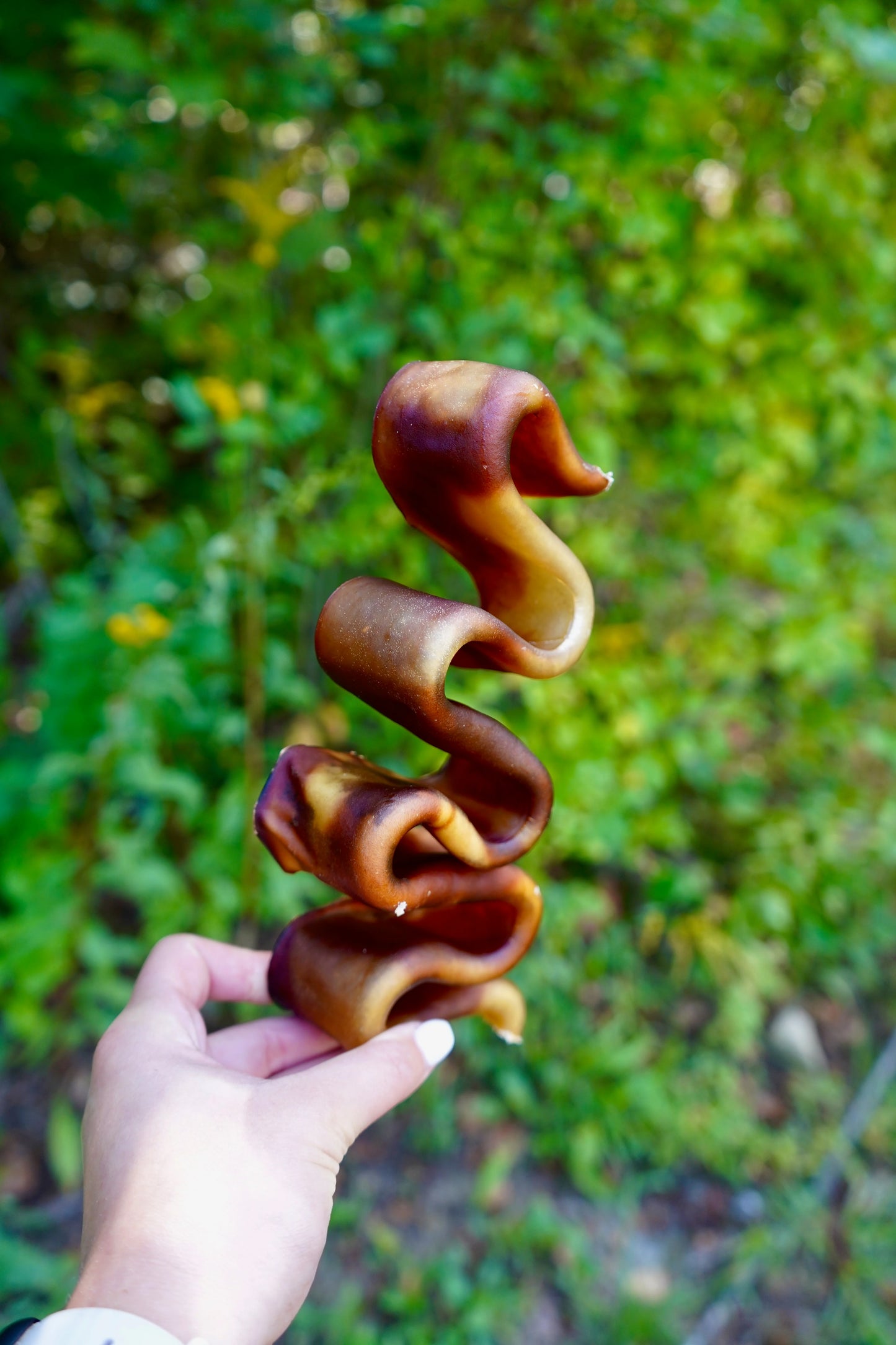 Open Range Wavy Stick Beef Collagen 10-12"