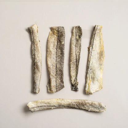 PolkaDog Haddock Skins