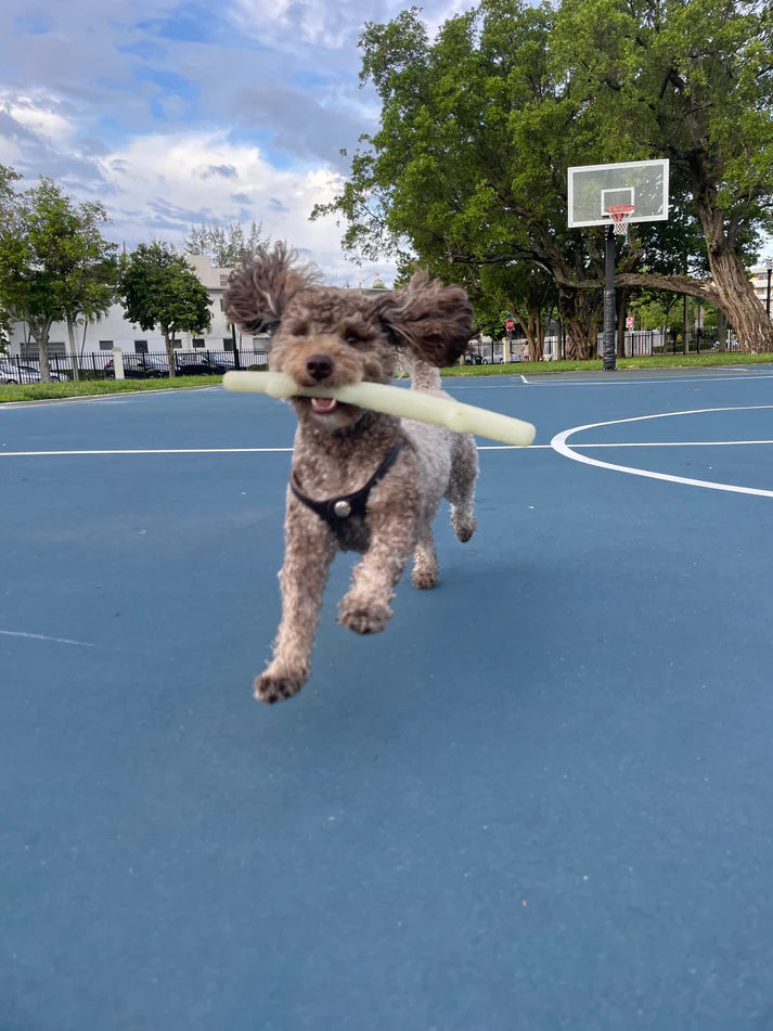 Spunky Pup® Glow Stick Retrieving Toy