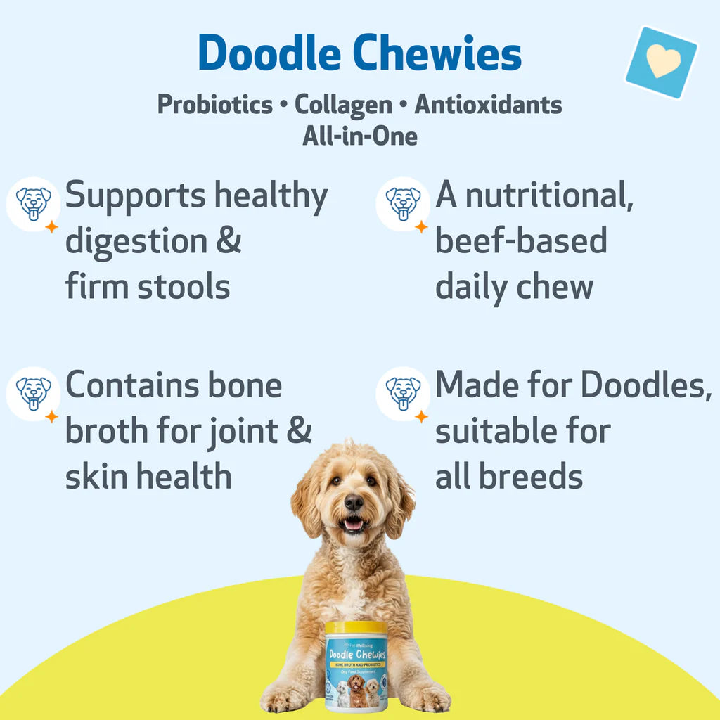 Doodle Chewies - Nutrient-Rich Soft Chews for All Breeds of Doodle Dogs