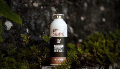 Legendary Canine🍁 Dry Shampoo 250ml