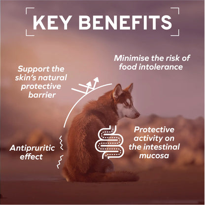 Forza10 Dermo Active Dog