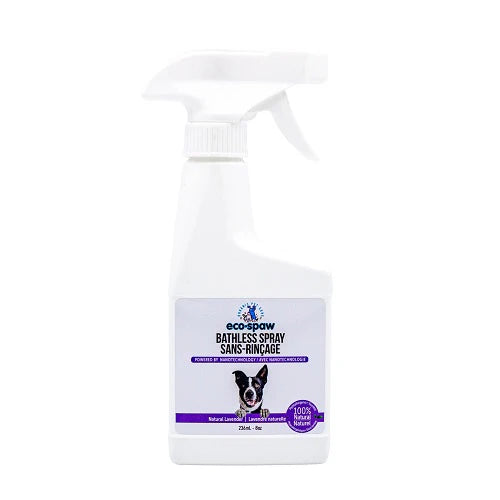 EcoSpaw Lavender Bathless Spray 24oz