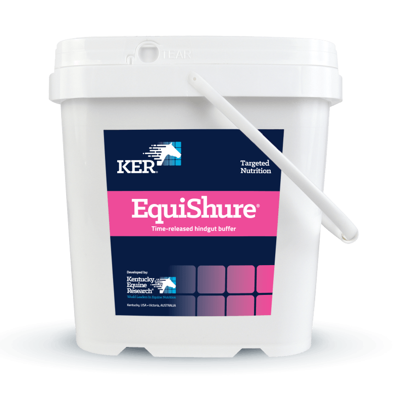 KER Equishure for Hindgut Health