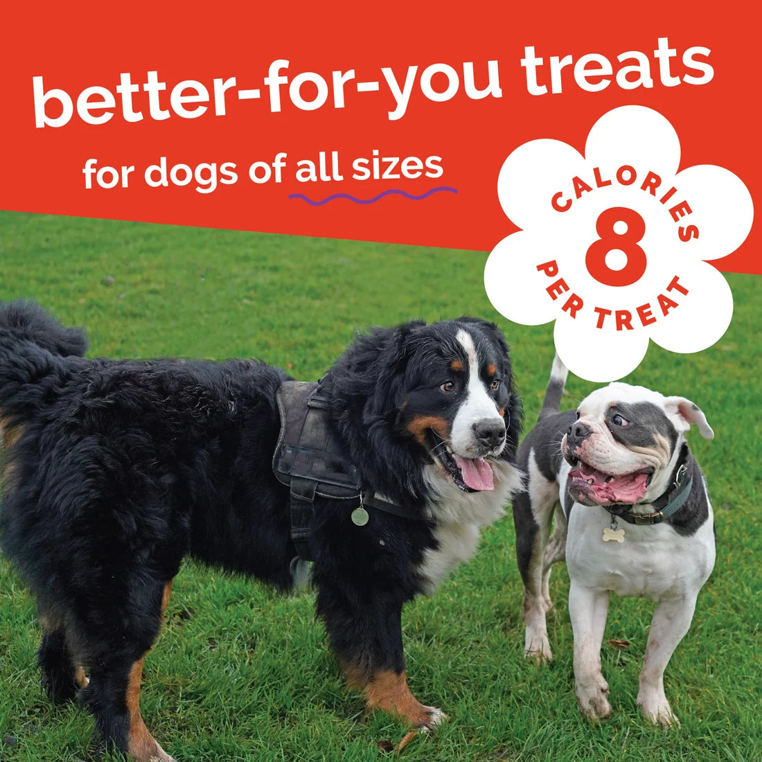 Fruitables Crispy Bacon & Apple Dog Treats