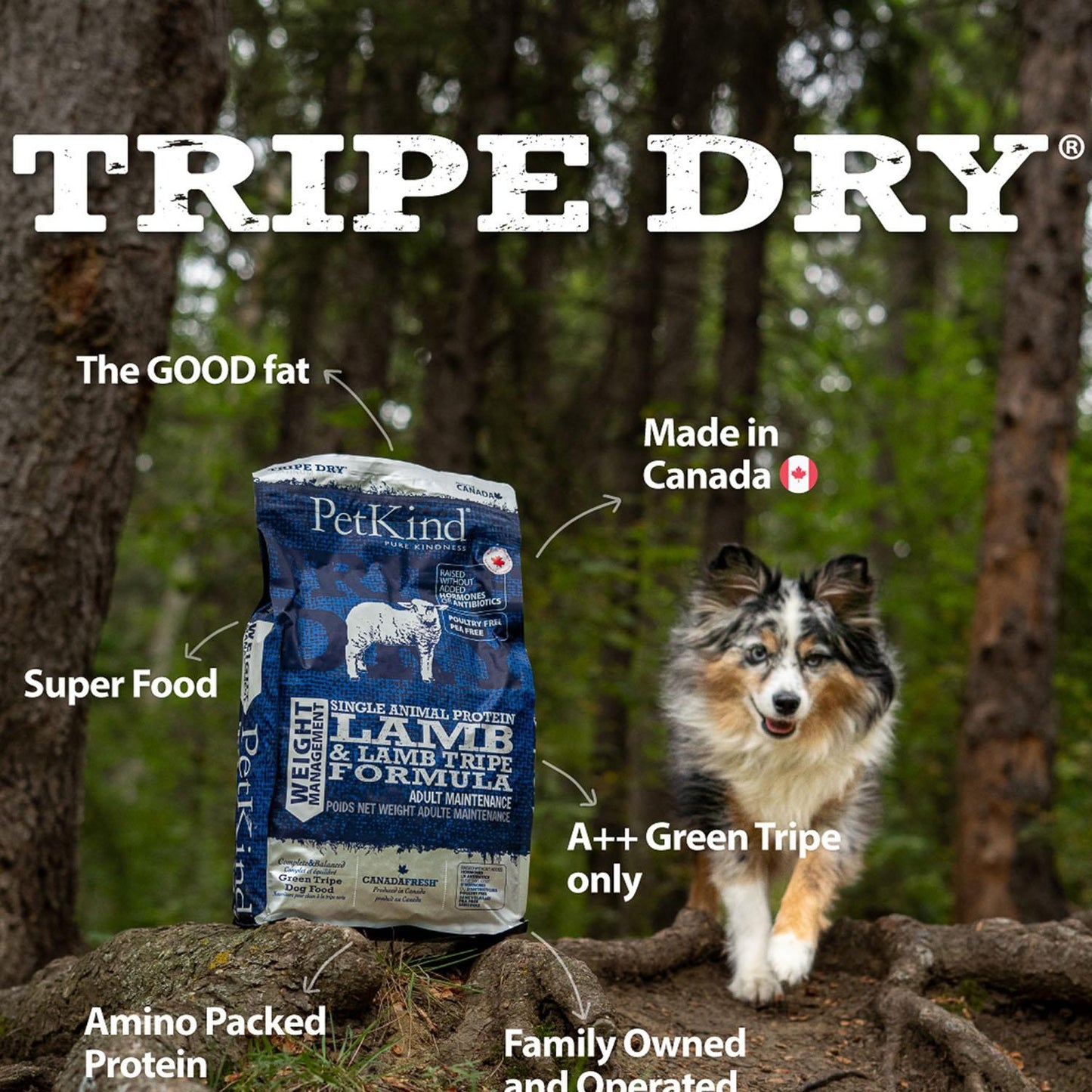 PetKind🍁 Weight Management Lamb & Lamb Tripe Formula for Dogs