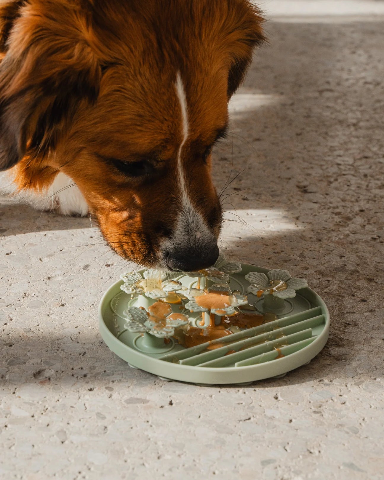 DexyPaws 🍁Sage Green Flowers Snuffle & Slow Feeder
