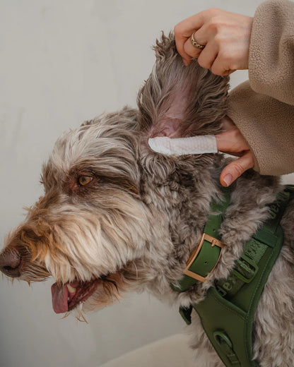 Dexypaws 🍁Finger Wipes For Dogs, Unscented & Gentle For Eyes, Ears & Nose, 100 Count