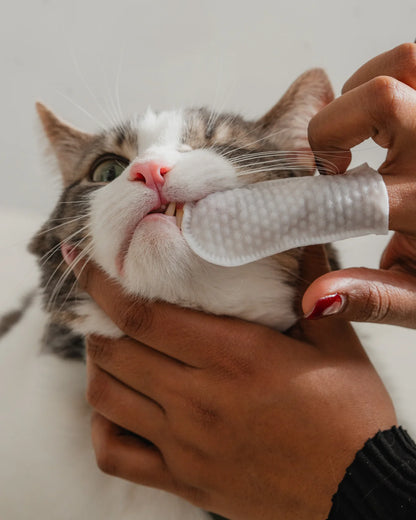 Dexypaws 🍁Finger Wipes For Cats, Unscented & Gentle For Eyes, Ears & Nose, 100 Count