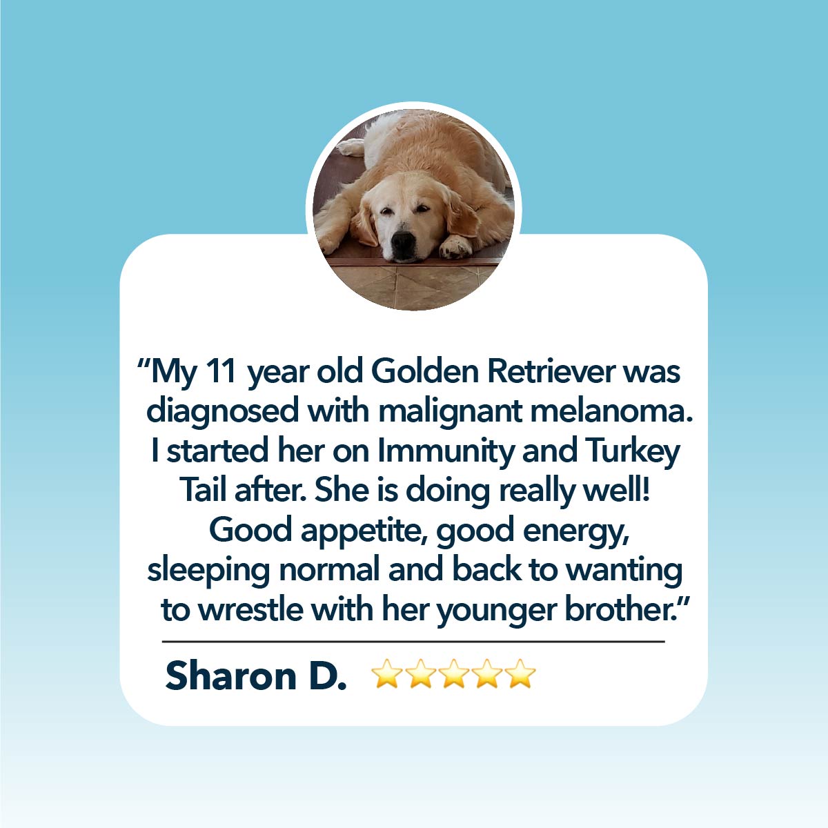 Four Leaf Rover Turkey Tail Mushrooms 28.5g