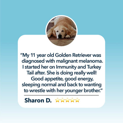 Four Leaf Rover Turkey Tail Mushrooms 28.5g