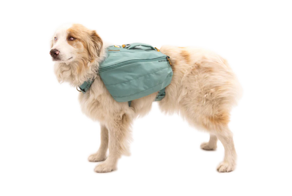 RUFFWEAR Front Range Day Pack River Rock Green