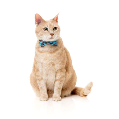 Fuzz Yard Soy Sauce Fish Wild One Cat Fashion Pack