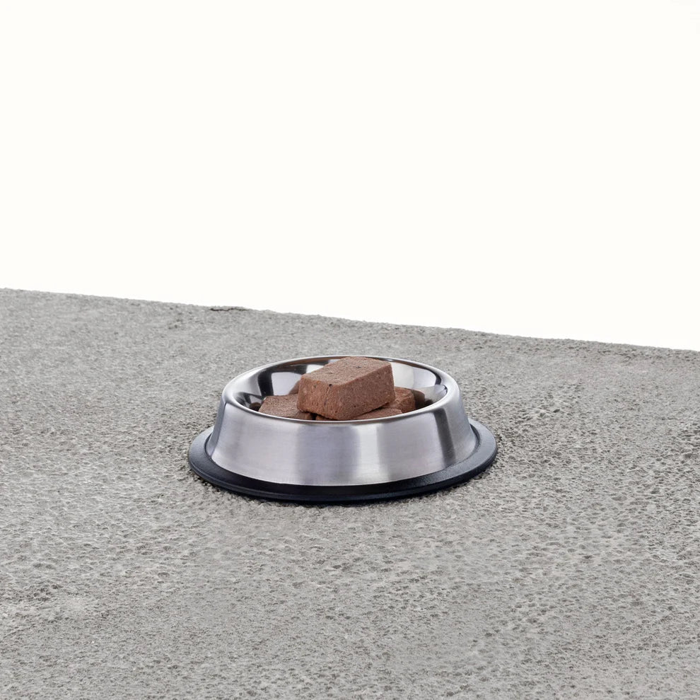 Primal Pet Foods Feline Chicken & Salmon Pronto Formula 1Lb