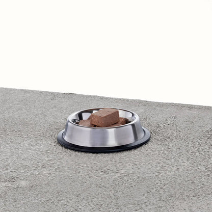 Primal Pet Foods Feline Chicken & Salmon Pronto Formula 1Lb