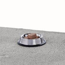 Primal Pet Foods Canine Lamb Frozen Nuggets 3Lb