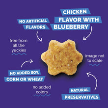 Fruitables Chicken & Blueberry Cat Treats 2.5oz