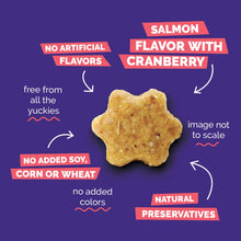 Fruitables Salmon & Cranberry Cat Treats 2.5oz
