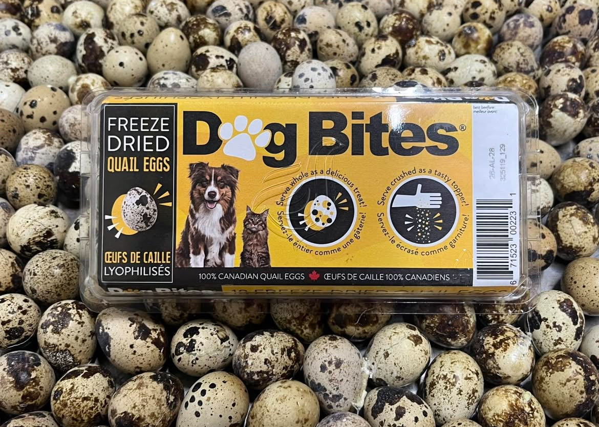 Dog Bites🍁Freeze Dried Quail Eggs 18-Pack