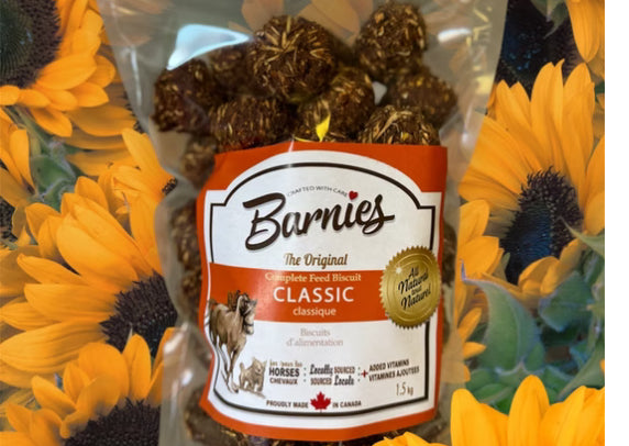 Barnies Organics 🍁Classic Horse Treats