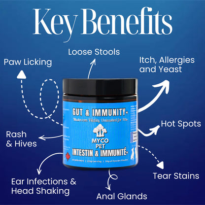 Myco🍁Gut & Immunity 30g