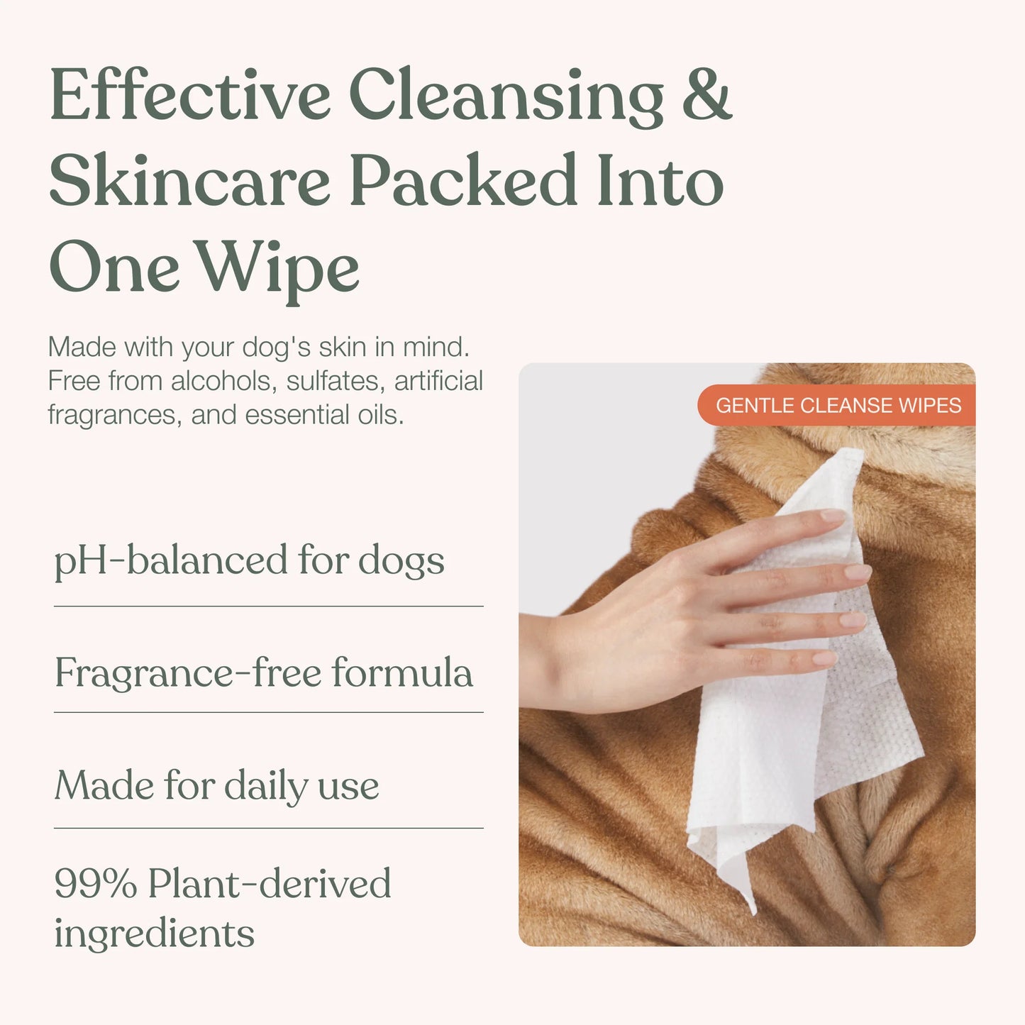 Dandylion  🍁  Gentle Cleanse Dog Wipes