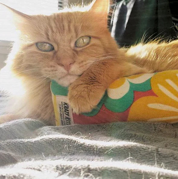 Krazy Kitty 🍁Refillable Snuggle Sticks