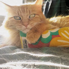 Krazy Kitty 🍁Refillable Snuggle Sticks