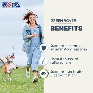 Four Leaf Rover Green Rover - Green Ferment For Dogs 36g