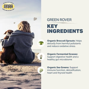 Four Leaf Rover Green Rover - Green Ferment For Dogs 36g