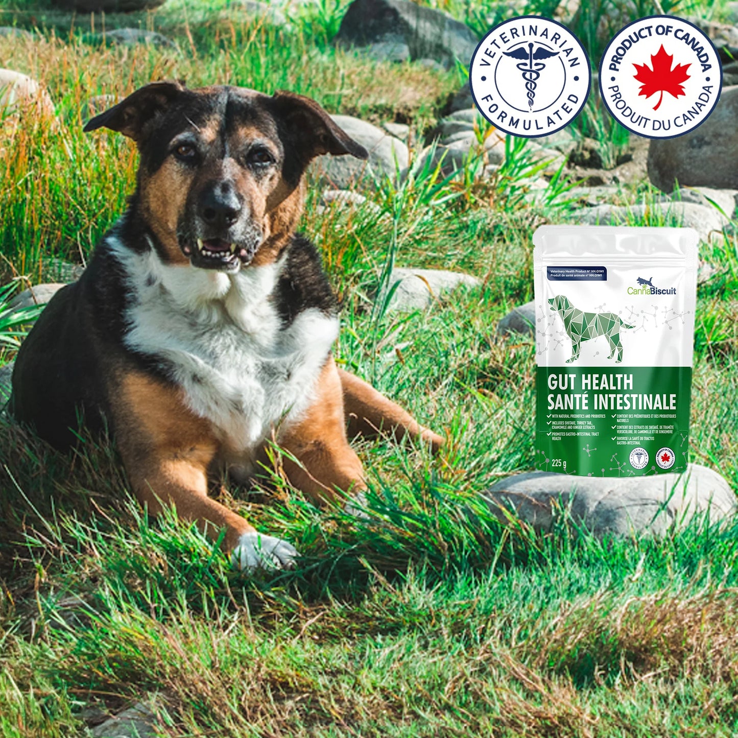 CannaBiscuit 🍁Gut Health with Canine Specific Probiotic Blend 225g