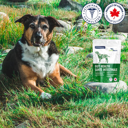 CannaBiscuit 🍁Gut Health with Canine Specific Probiotic Blend 225g