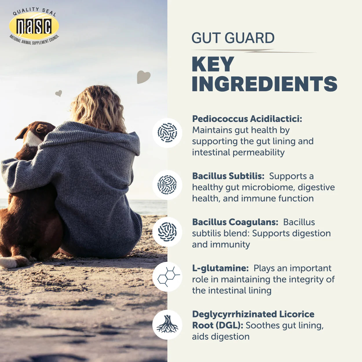 Four Leaf Rover Gut Guard  - For Dogs with Irritated, Leaky Guts 106g