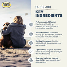 Four Leaf Rover Gut Guard  - For Dogs with Irritated, Leaky Guts 106g