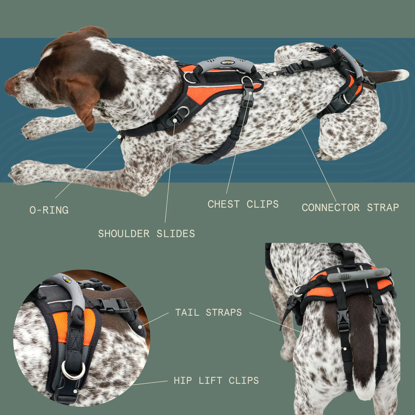 Help 'Em Up Medium Conventional Harness 45-80lbs
