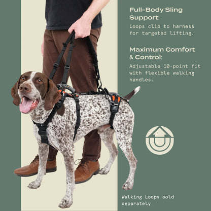 Help 'Em Up Medium Conventional Harness 45-80lbs