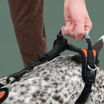 Help 'Em Up Medium Conventional Harness 45-80lbs