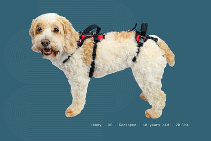 Help Em Up Harness Extra Small Conventional Harness 10-25lbs