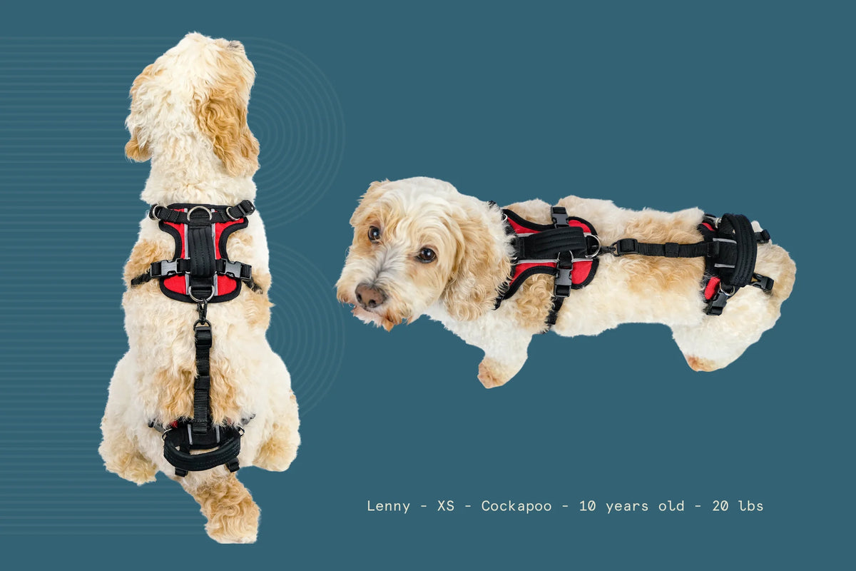 Help Em Up Harness Extra Small Conventional Harness 10-25lbs