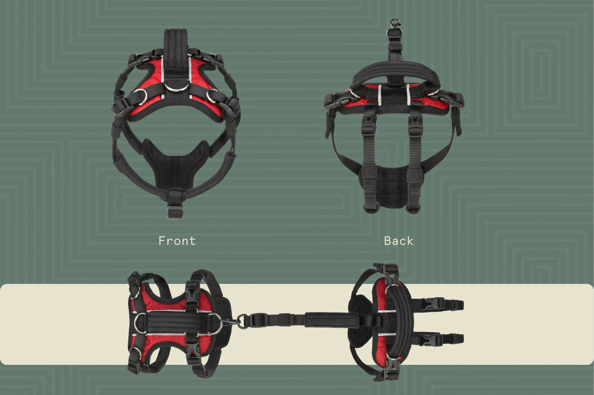 Help Em Up Harness Extra Small Conventional Harness 10-25lbs